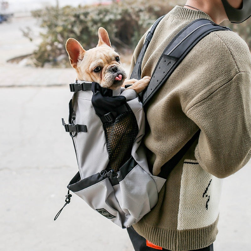 Pet Carrier Bag for Travel