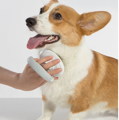 Self-cleaning wire brush for pets