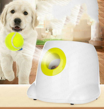 Automatic Interactive Ball Launcher for Dogs