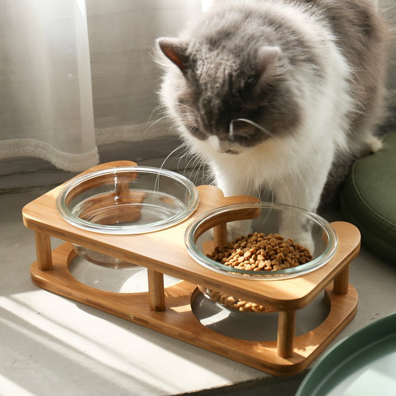 Modern Glass Pet Bowl