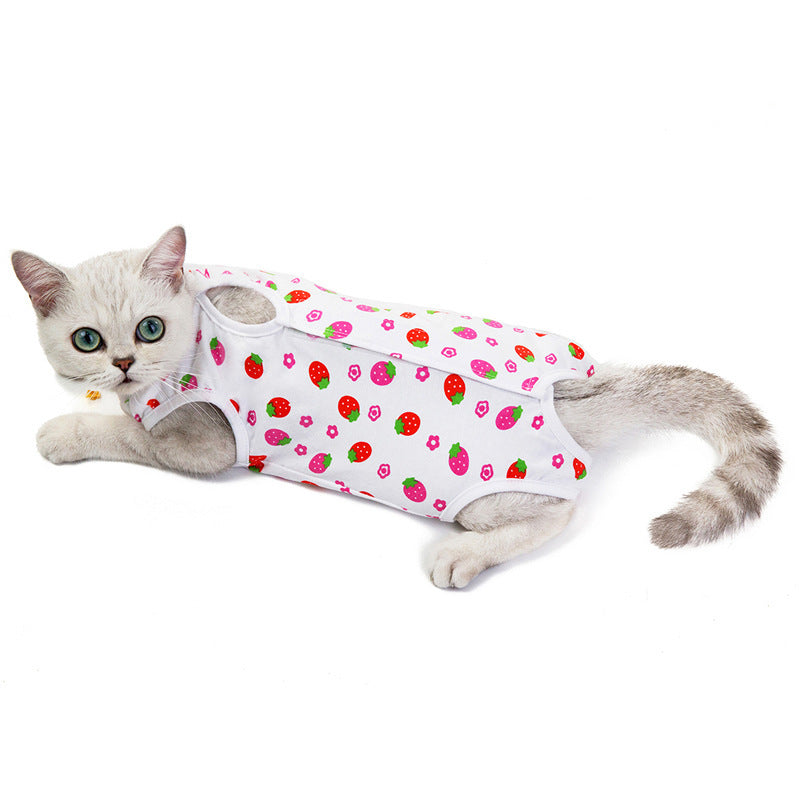 Spring and Summer Cat Wear