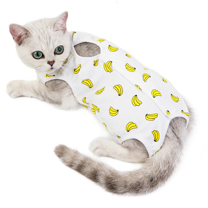 Spring and Summer Cat Wear