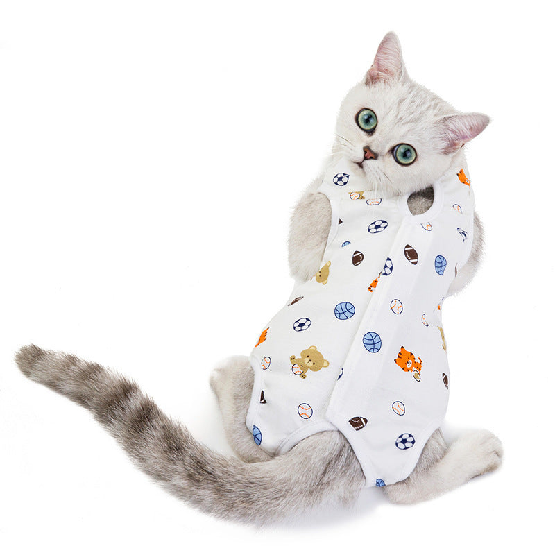 Spring and Summer Cat Wear