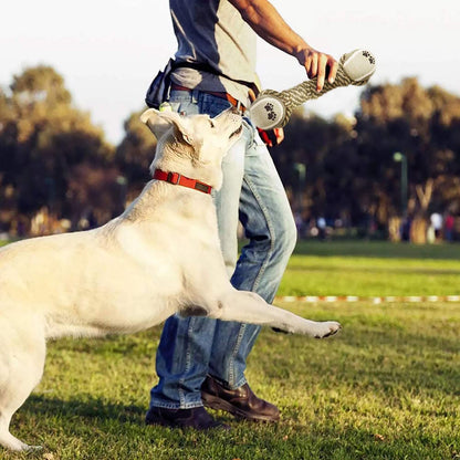 Interactive Dog Play Rope