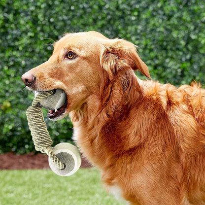 Interactive Dog Play Rope