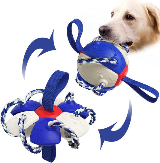 Dog Training Soccer Ball