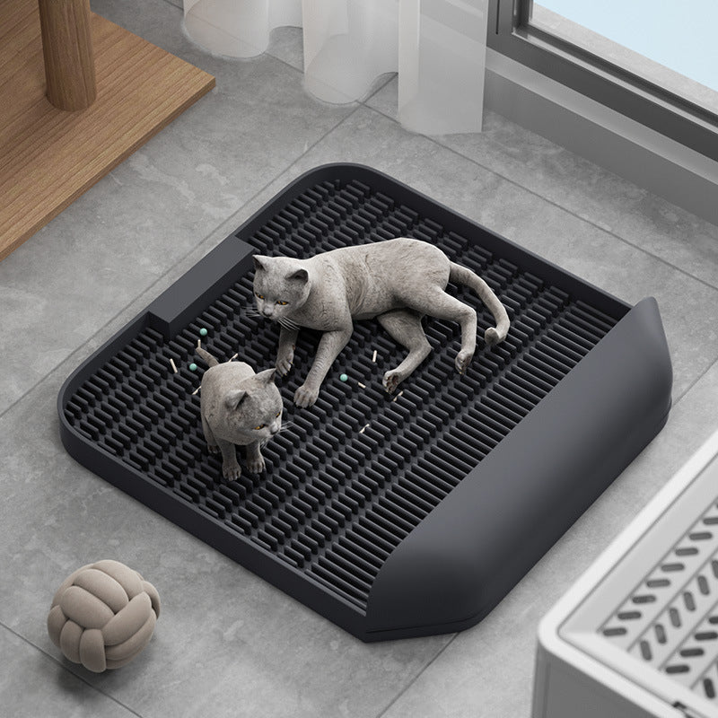 Pet-Friendly Litter Pad Mat