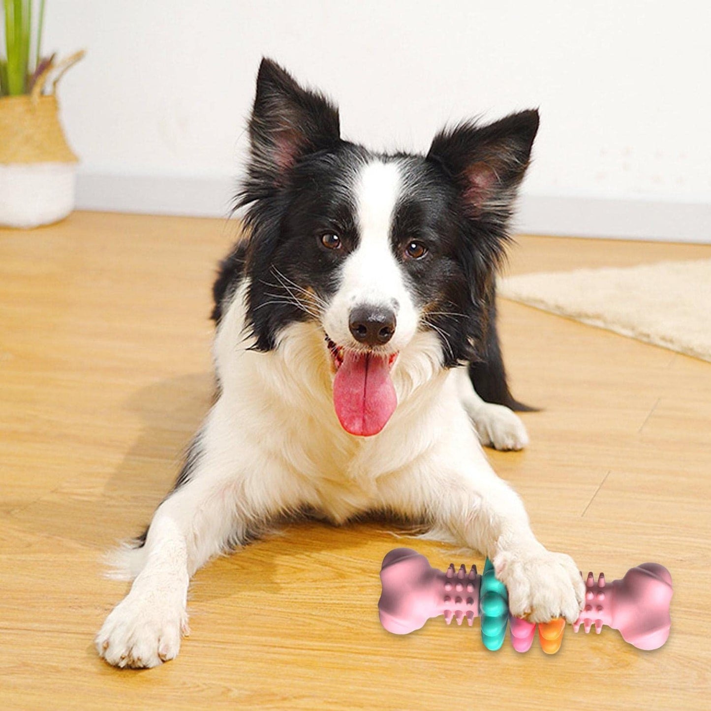 Bite-Resistant Dog Bone Chew Toy