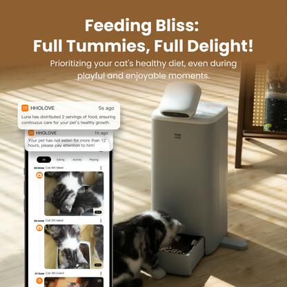 Premium Automatic Cat Feeder Camera