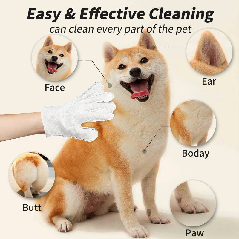 Pet Disposable Cleaning Accessories