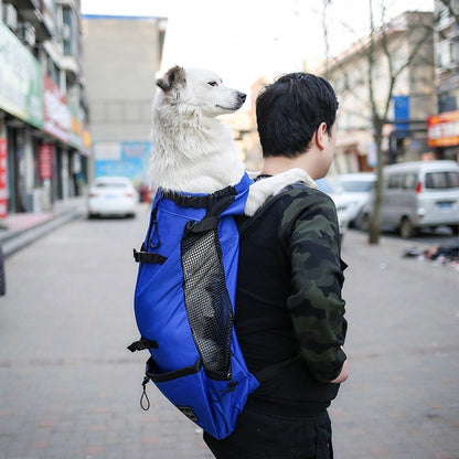 Pet Carrier Bag for Travel