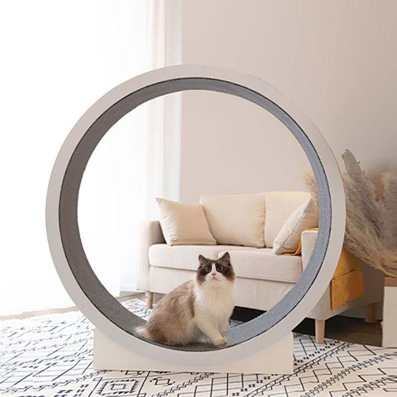 Rolling Cat Climbing Wheel