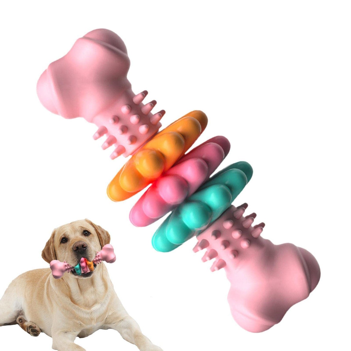 Bite-Resistant Dog Bone Chew Toy