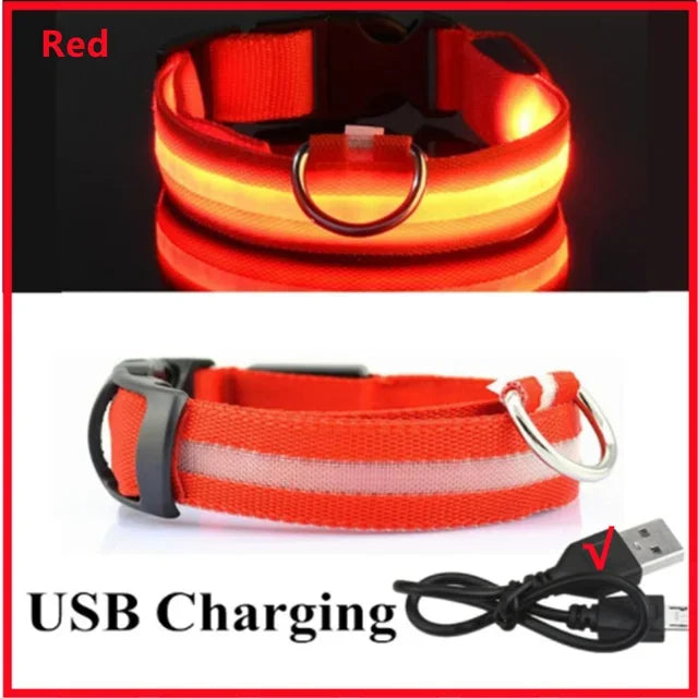 LED Glowing Dog Collar – USB Rechargeable Night Safety Light