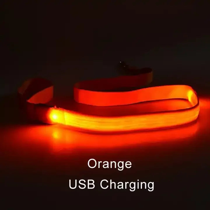 LED Light-Up Dog Leash – USB Rechargeable Luminous Rope for Safe Night Walks