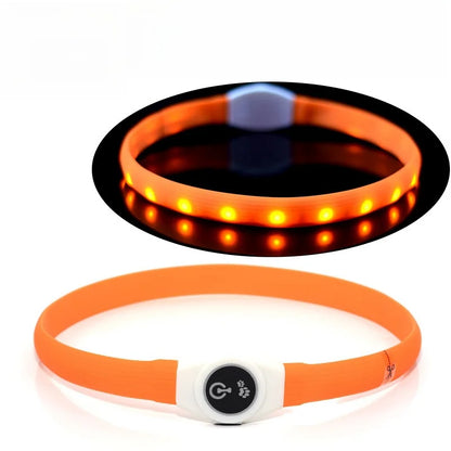 New LED Luminous Dog Collar – Waterproof USB Rechargeable Safety Light for Pets
