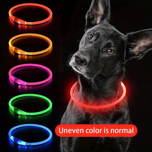 USB Rechargeable Fiber Optic LED Dog Collar – Luminous Night Safety Collar