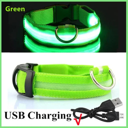LED Glowing Dog Collar – USB Rechargeable Night Safety Light