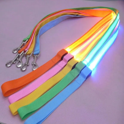 LED Light-Up Dog Leash – USB Rechargeable Luminous Rope for Safe Night Walks