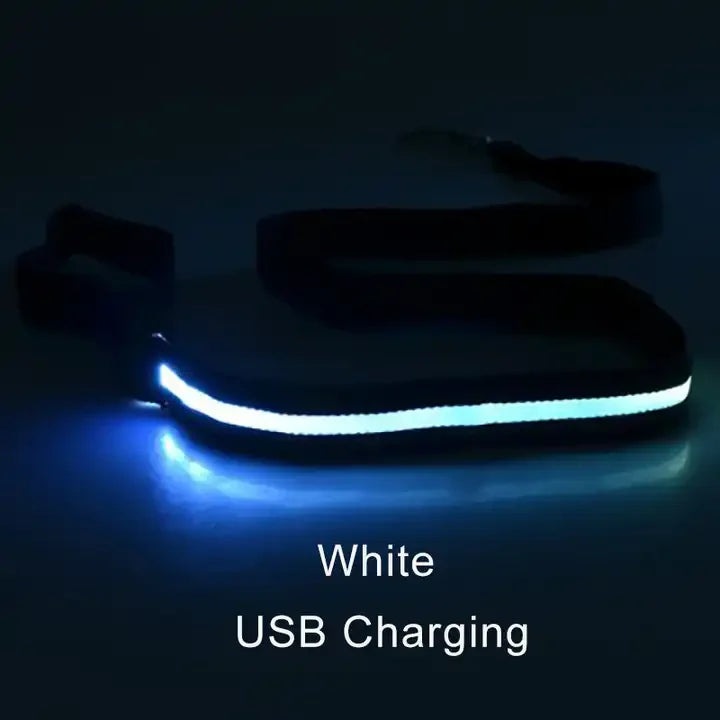 LED Light-Up Dog Leash – USB Rechargeable Luminous Rope for Safe Night Walks