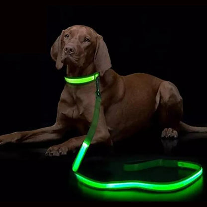 LED Light-Up Dog Leash – USB Rechargeable Luminous Rope for Safe Night Walks