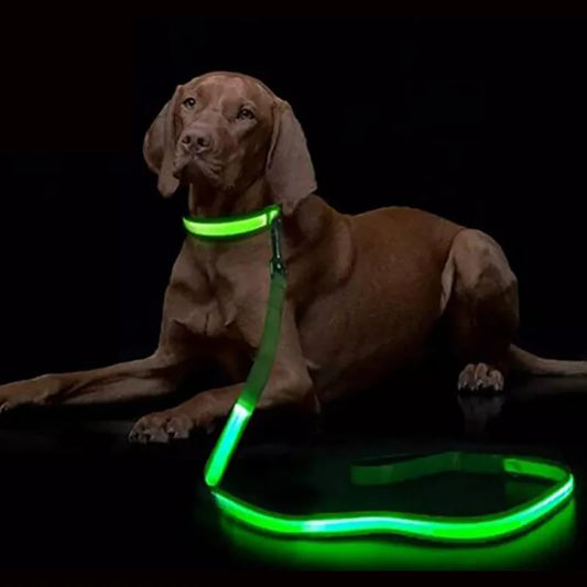LED Light-Up Dog Leash – USB Rechargeable Luminous Rope for Safe Night Walks