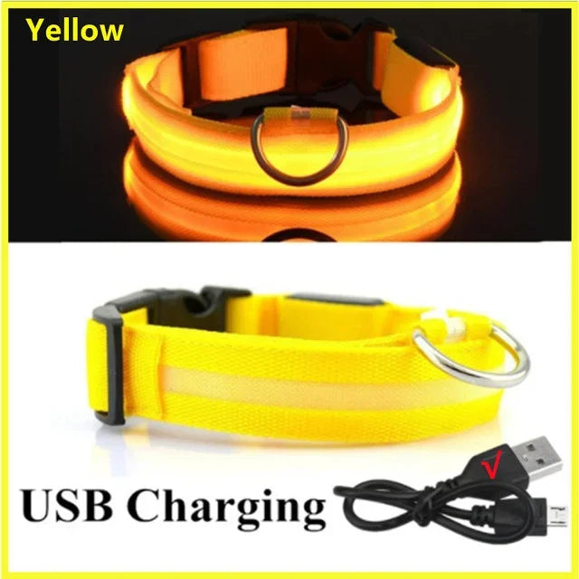 LED Glowing Dog Collar – USB Rechargeable Night Safety Light
