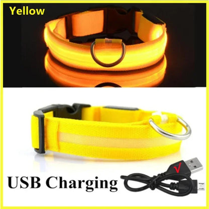 LED Glowing Dog Collar – USB Rechargeable Night Safety Light