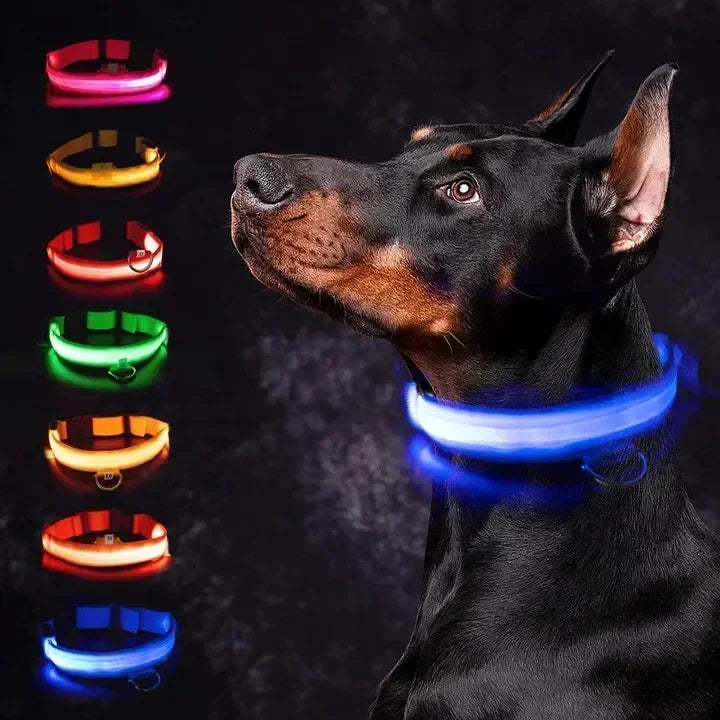 LED Glowing Dog Collar – USB Rechargeable Night Safety Light