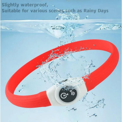 New LED Luminous Dog Collar – Waterproof USB Rechargeable Safety Light for Pets