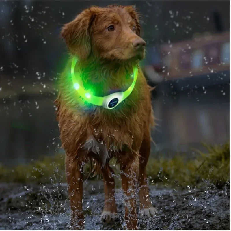New LED Luminous Dog Collar – Waterproof USB Rechargeable Safety Light for Pets