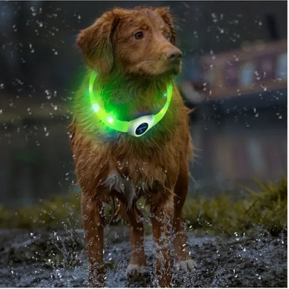 New LED Luminous Dog Collar – Waterproof USB Rechargeable Safety Light for Pets