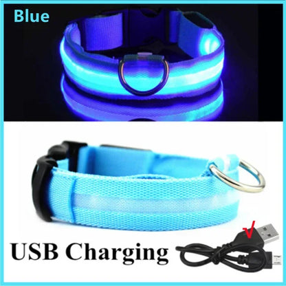 LED Glowing Dog Collar – USB Rechargeable Night Safety Light