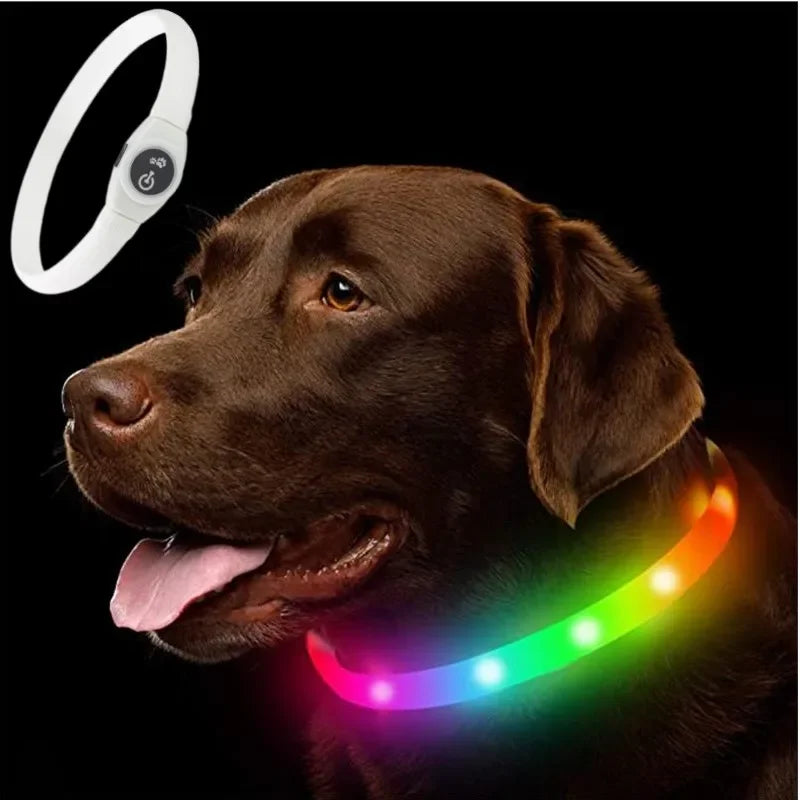 New LED Luminous Dog Collar – Waterproof USB Rechargeable Safety Light for Pets