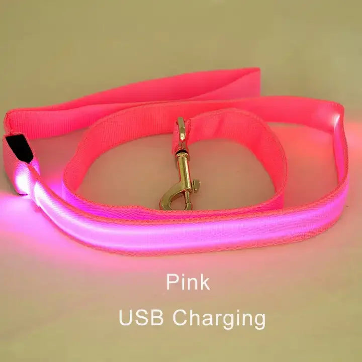 LED Light-Up Dog Leash – USB Rechargeable Luminous Rope for Safe Night Walks