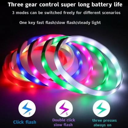 New LED Luminous Dog Collar – Waterproof USB Rechargeable Safety Light for Pets