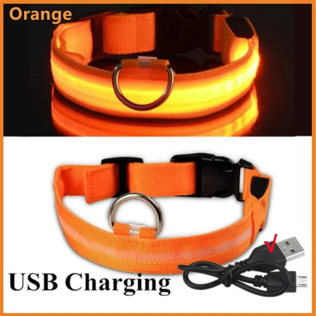 LED Glowing Dog Collar – USB Rechargeable Night Safety Light