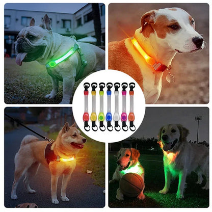 Waterproof LED Dog Leash Light – Anti-Lost Night Visibility Safety Pendant