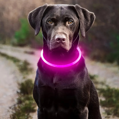 USB Rechargeable Fiber Optic LED Dog Collar – Luminous Night Safety Collar