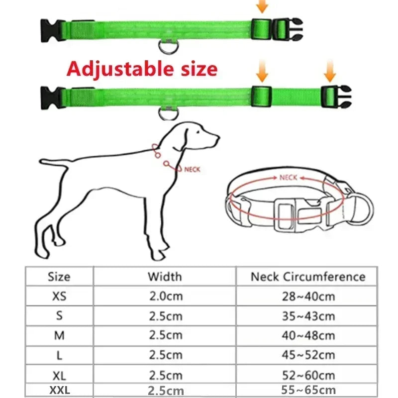 LED Glowing Dog Collar – USB Rechargeable Night Safety Light