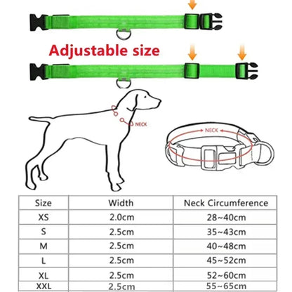 LED Glowing Dog Collar – USB Rechargeable Night Safety Light