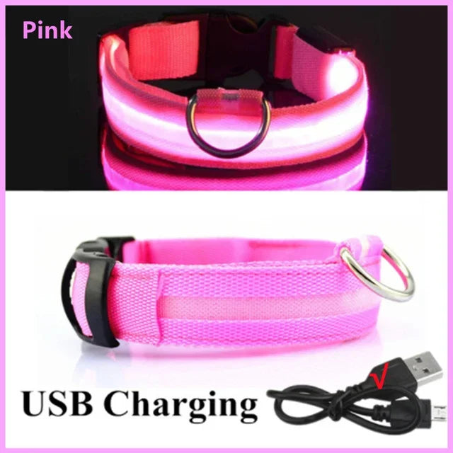 LED Glowing Dog Collar – USB Rechargeable Night Safety Light