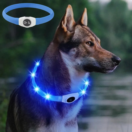 New LED Luminous Dog Collar – Waterproof USB Rechargeable Safety Light for Pets