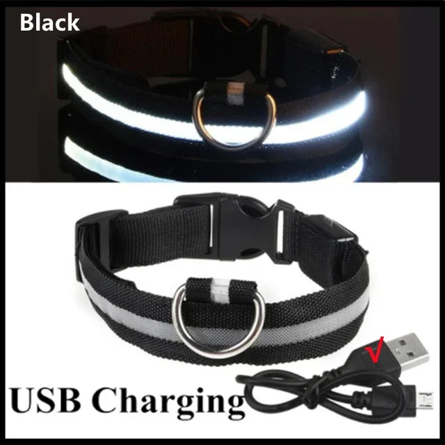 LED Glowing Dog Collar – USB Rechargeable Night Safety Light