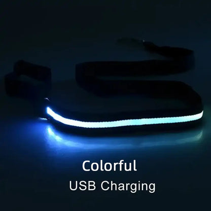 LED Light-Up Dog Leash – USB Rechargeable Luminous Rope for Safe Night Walks