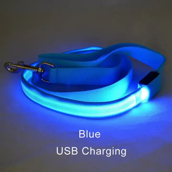 LED Light-Up Dog Leash – USB Rechargeable Luminous Rope for Safe Night Walks