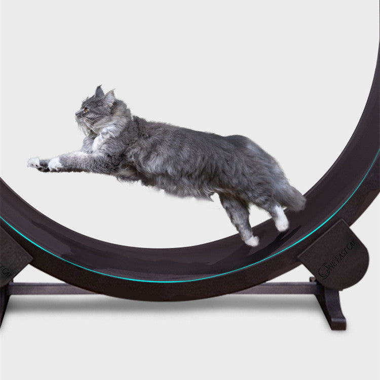 Pet Running Wheel for Fitness