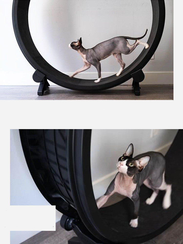 Pet Running Wheel for Fitness