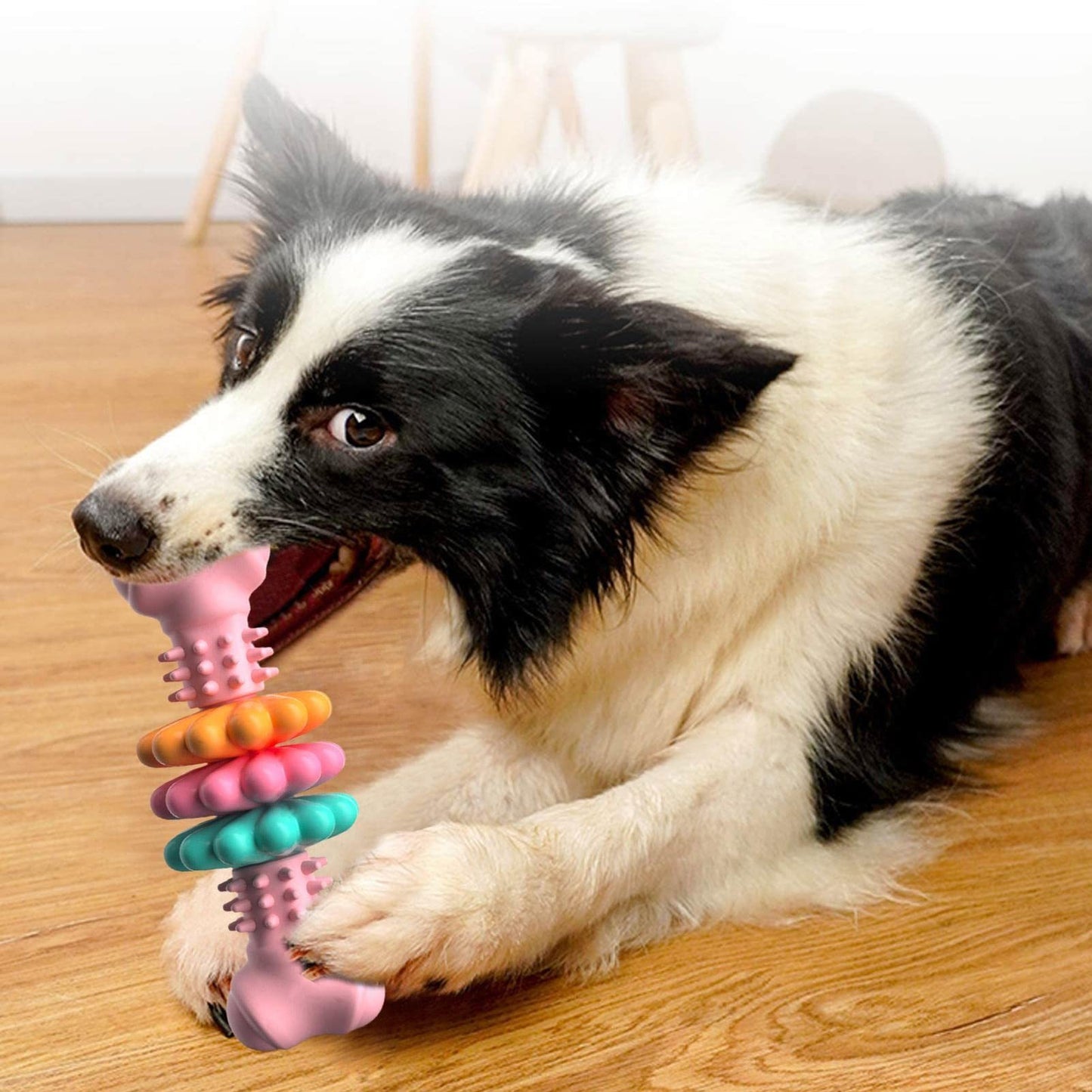 Bite-Resistant Dog Bone Chew Toy