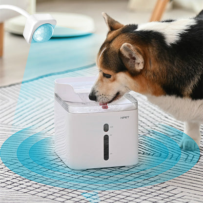 Automatic Pet Water Fountain